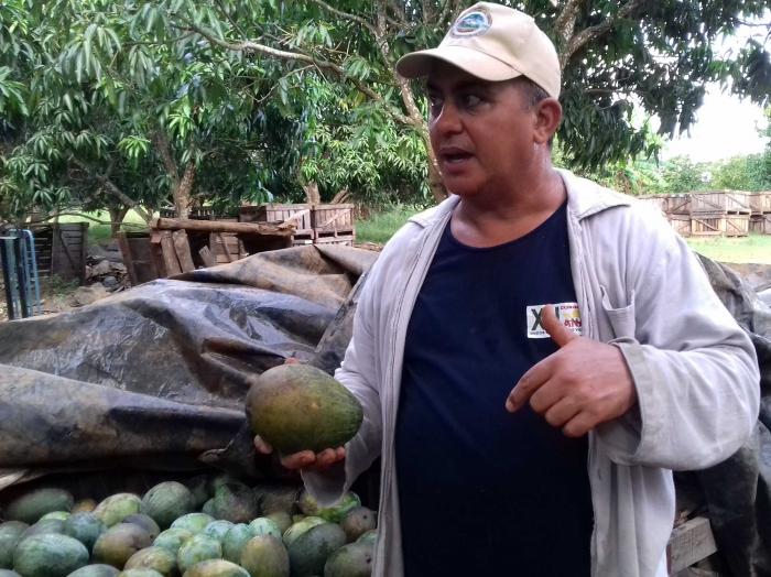 Onay ha demostrado que la voluntad es la mayor cualidad para sacar los mejores frutos a la tierra.