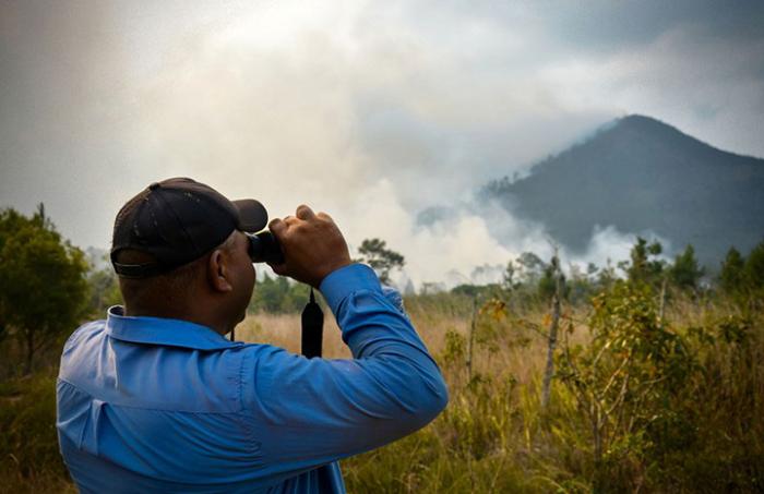 Avanza recuperación de áreas afectadas por incendio en Mayarí