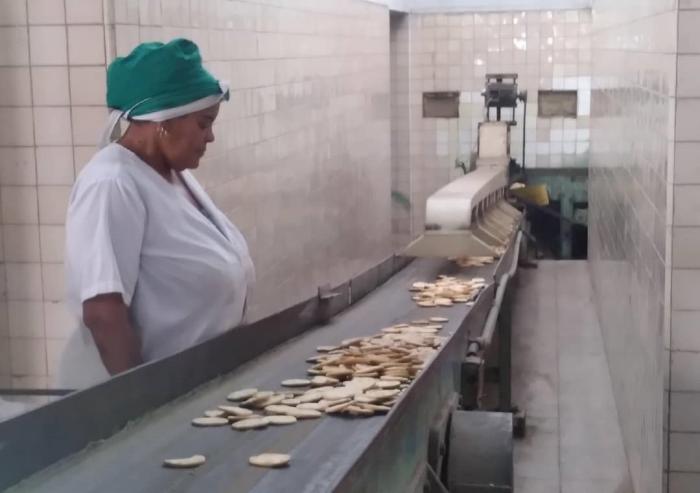 Una fábrica en la que todos hacen de todo