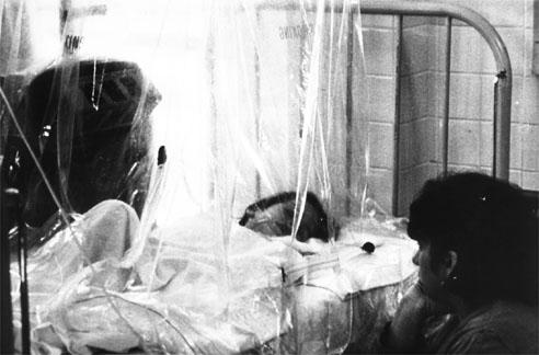 Dengue Hemorragico.Tan terrorista es quien ejecuta el crimen como el que lo financia. De esto sabe mucho el Gobierno de Estados Unidos. FOTO: ARCHIVO DE GRANMA