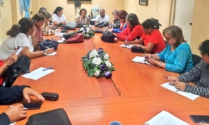 Comisiones permanentes de la Asamblea Nacional, municipio Cotorro