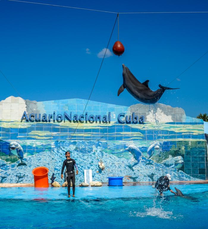 Aniversario 65 del Acuario Nacional de Cuba