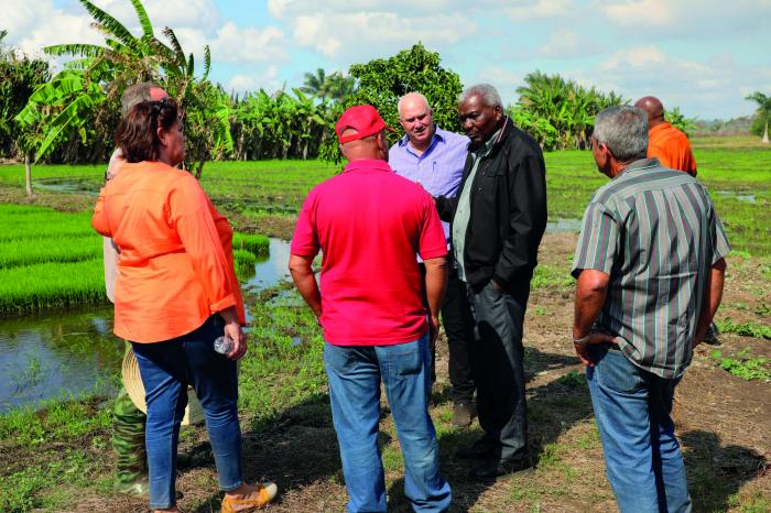 El titular del Parlamento visitó las tierras dedicadas al cultivo del arroz en Aguada. 
foto: Miguel Antonio Sarduy