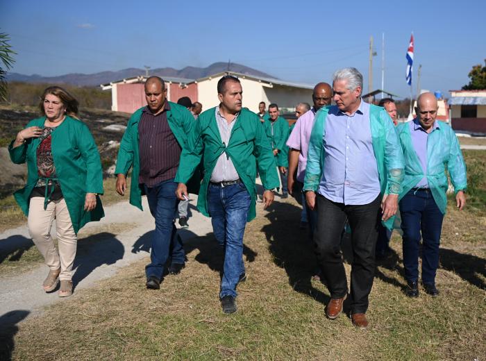 En la UEB porcina, Los Molinos, el Presidente Cubano constató las alternativas que busca hoy la entidad
para mejorar sus indicadores. FOTOS: ESTUDIOS REVOLUCIÓN