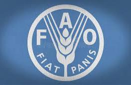 Proyecto de la FAO