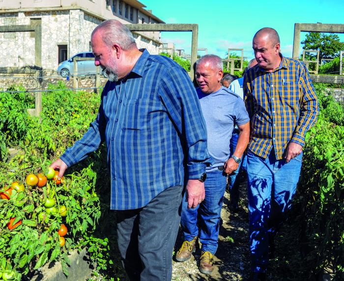 Visita de Gobierno a la Provincia  Artemisa, encabezada por el Primer Ministro Manuel Marrero Cruz, recorrido por el Hidropónico 5ta exelencia Nacional