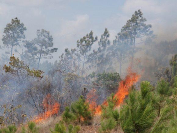 Incendios forestales