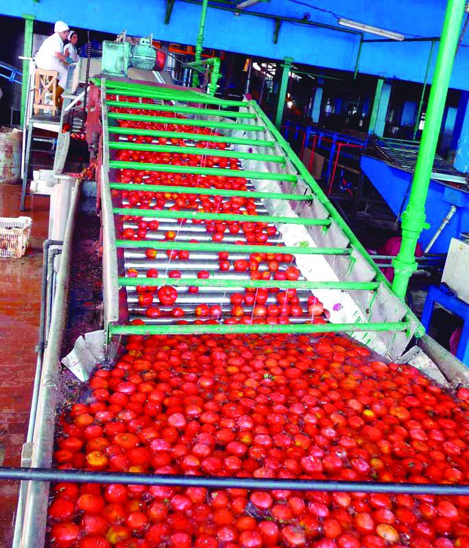 Los trabajadores han sido determinantes para sostener los objetivos
primordiales del sector. FOTO: RONALD SUÁREZ RIVAS