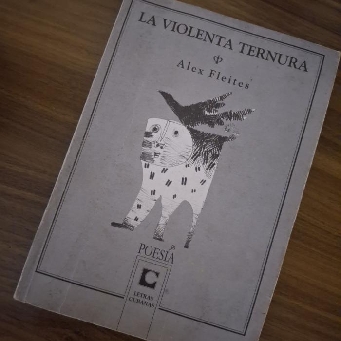 Sea para ti el don de presentarte / al recuento final / como quien escapa de un incendio, se lee en uno de los poemas. Foto de la autora