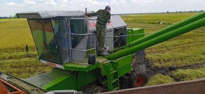 Como música para los oídos de los productores es el sonido en el campo de estas máquinas recuperadas. Fotos: Cortesía de la Empresa