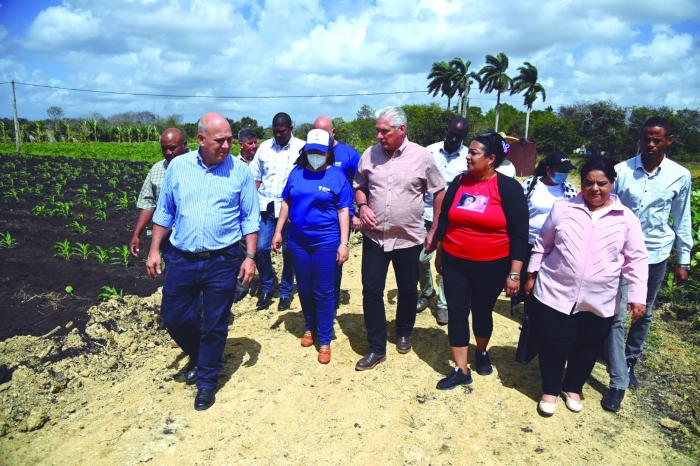 En cada zona productiva que visita, el Presidente exhorta a generalizar las buenas experiencias.
foto: estudios revolución