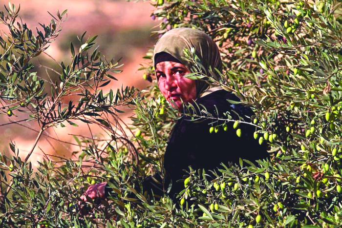 Palestina