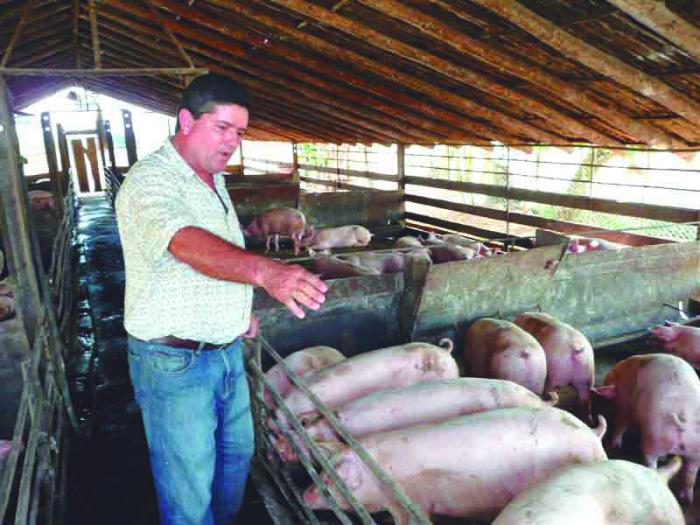 Los resultados que exhibe hoy la mipyme placeteña tienen mucho que ver con el empuje y el conocimiento de su líder. Foto del autor