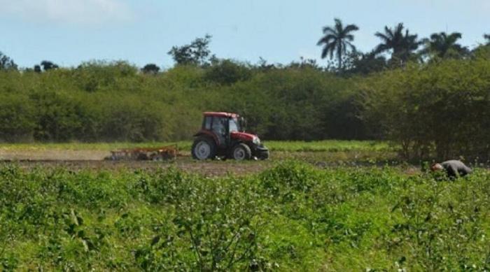 programas de desarrollo local 