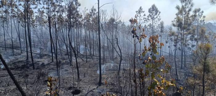 Incendios forestales en Pinar de Río