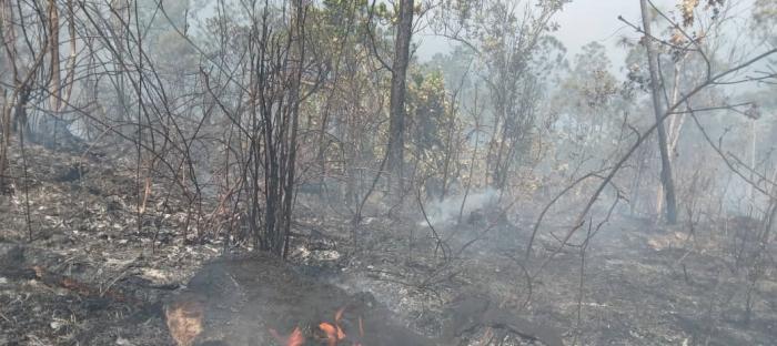 Incendios forestales