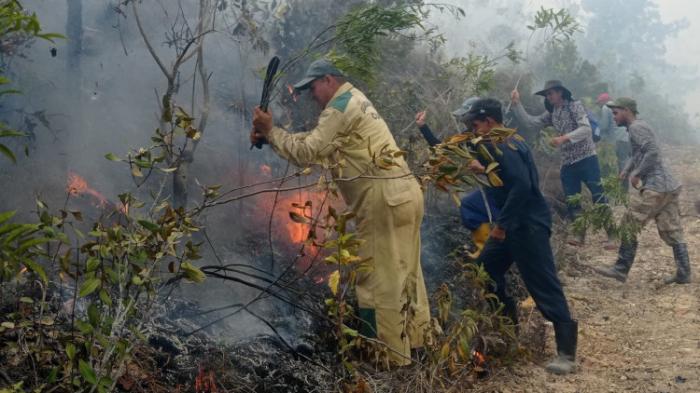 Incendio Forestal en Pinar del Rio