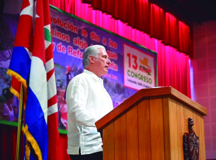 «La tarea urgente de hoy es producir más, ser más eficientes, cuidar cada hectárea como un tesoro», afirmó Díaz-Canel. foto: Estudios Revolución