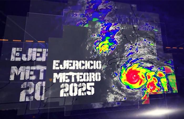 Ejercicio Meteoro 2025 