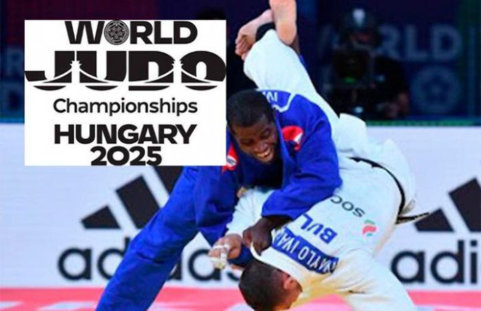 judo