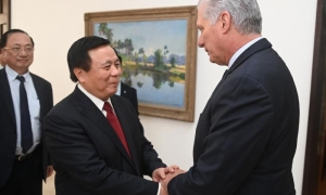 Cuba y Vietnam