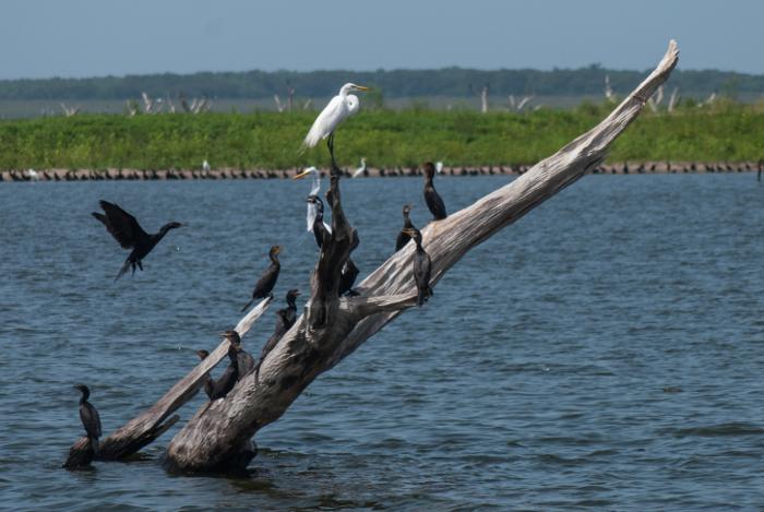  Camagüey en el cuidado del medio ambiente