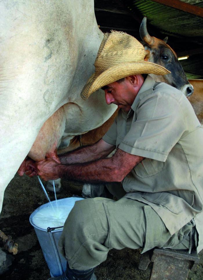 Acercarse más a la realidad del productor es un imperativo que, de convertirse en práctica habitual, también puede sumar litros de leche. foto: Rodolfo Blanco Cué 		