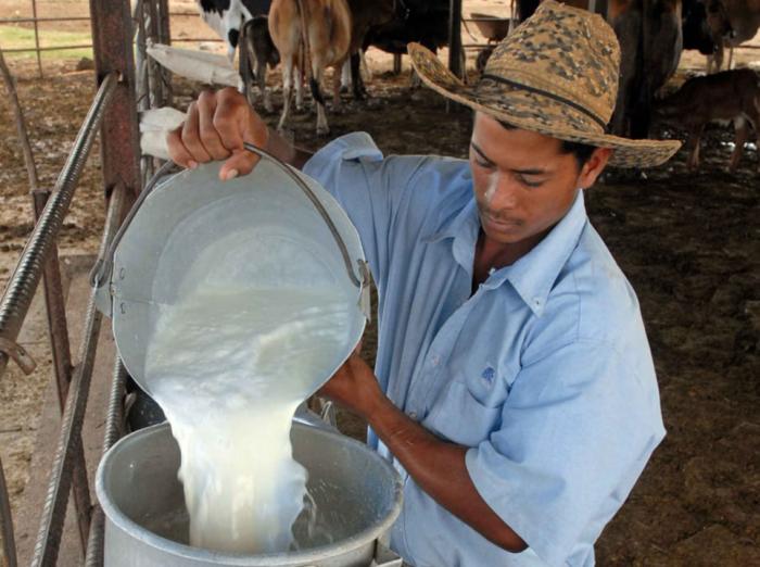 leche