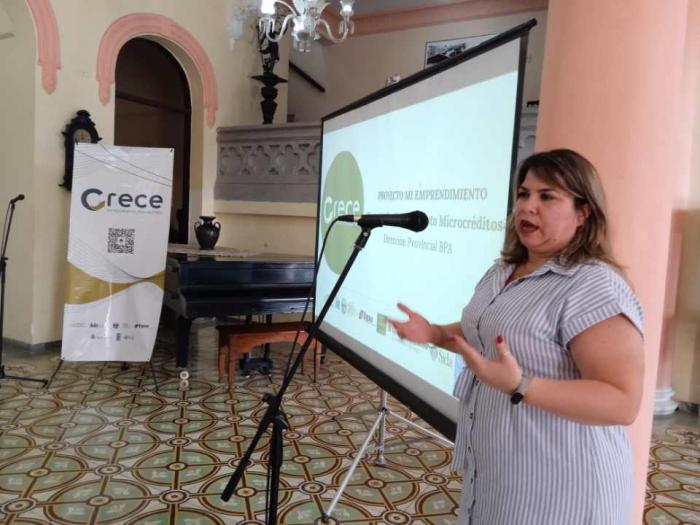 Mipymes en Granma  