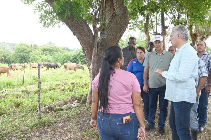 Sobre posibles encadenamientos, comentó el Presidente Díaz-Canel en la vaquería Pradera Roja.
FOTO: ESTUDIOS REVOLUCIÓN