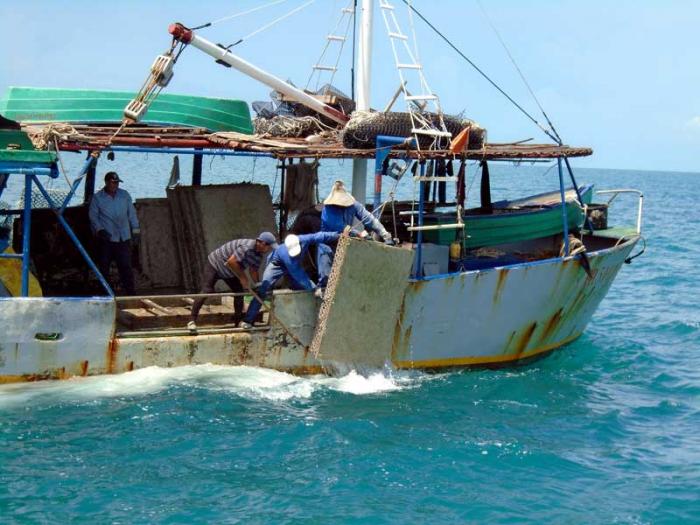 pesca