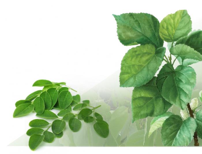 plantas