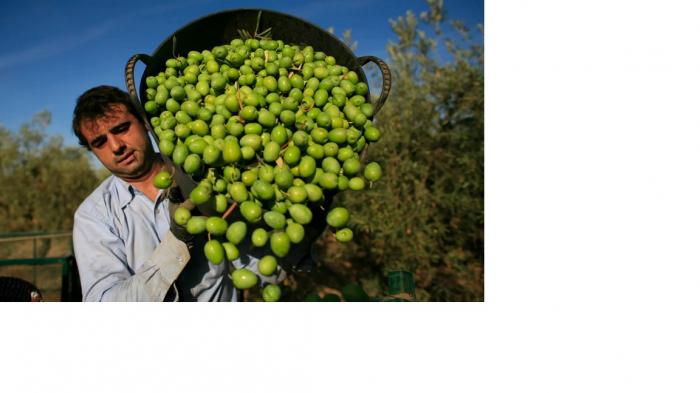limones