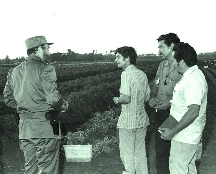 Fidel Castro en uan visita a la Empresa de Cultivos varios 19 de abril en 1985
Publicada: 27/05/2008
Fid18365