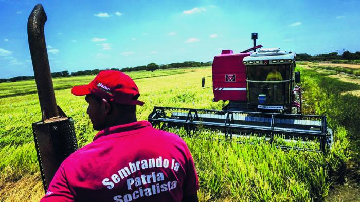agricultura venezolana