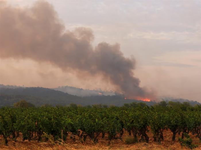 incendio forestal del siglo