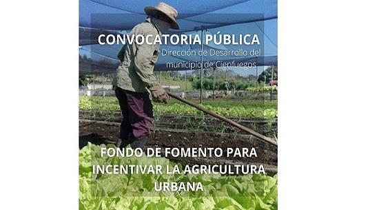 agricultura urbana en Cienfuegos
