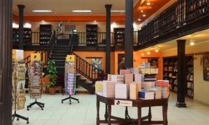 Fidel, literatura y arte visual