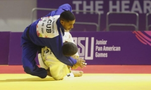 judo