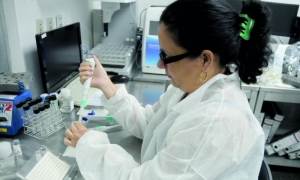 Centro de Inmologia Molecular, Laboratorio de Microbiologia.