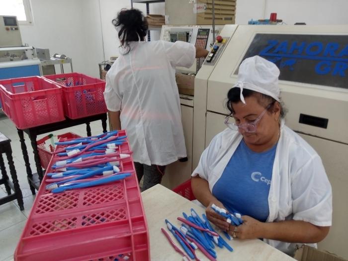 Cepillos dentales y escobas plásticas