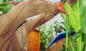 Sin subestimar lo tradicional, hay que pensar y actuar con un criterio de rendimiento y productividad. foto del autor