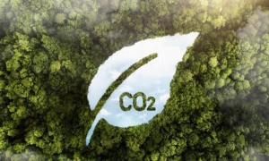 c02