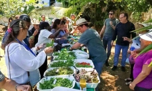 FAO apoya agroturismo en Cuba