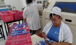 Cepillos dentales y escobas plásticas