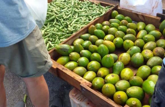 precios-agropecuarios