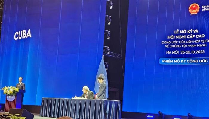 Convención contra Ciberdelitos