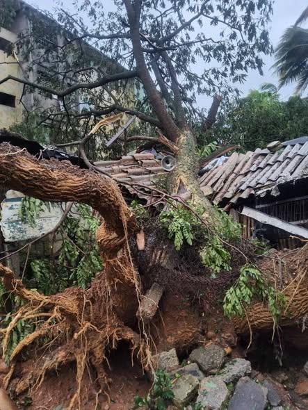 Primeras imágenes de la afectación de Melissa