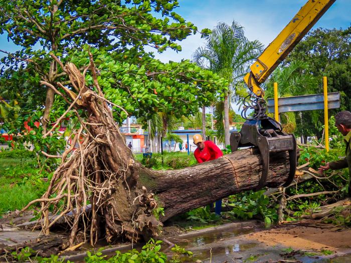 foto: Yanelkys Llera Céspedes