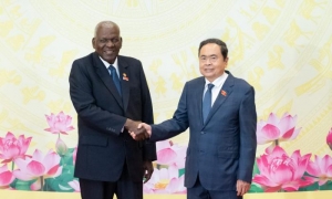 Cuba y Vietnam